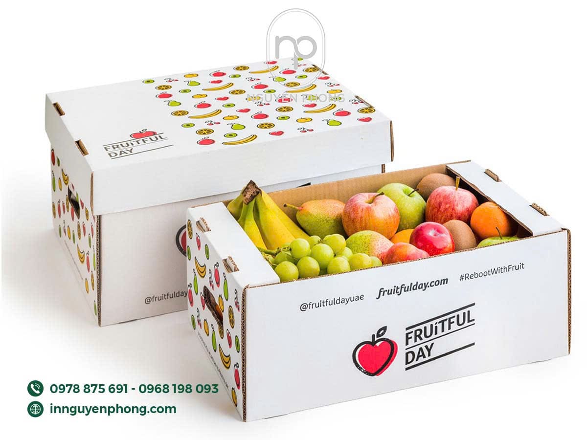 Khay giấy đựng trái cây 